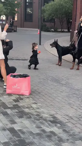 Велес и его отец Фрай на фотосъемке ⚡️