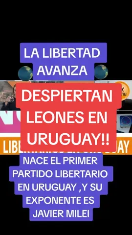 #mileipresidente🇦🇷 #javiermilei #lalibertadavanza #LIBERALES #libertarios #libertariosuruguay #elcciones2023 #argentina🇦🇷 #uruguay🇺🇾 #parati #foryou #elpelucamilei 