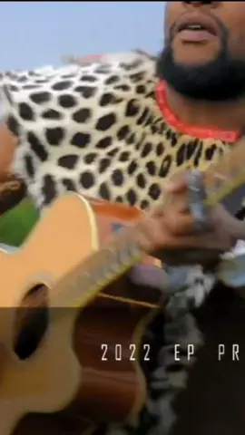 Stabilithi! #fyp #maskandi #maskandi_247 #zulutiktok #maskanditrendingsong #maskandimusic #stabilithi 