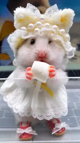 Tiny bites by cute mouse #funny #comedyvideo #cute #cutie #cutepie #mouse #pet #PetsOfTikTok #petlover #tiktok #entertainment #cutevideo #vira #viral #viralvideo #trend #trends #trendingvideo #reels #views #morelikessss #usa_tiktok 