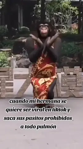 cuando mi hermana se quiere ser viral en tiktok  y saca sus pasitos prohibidos#tiktokpommeenparati #memestiktok #memes #🤣😂 #fiesta #hermana #viral #parati #bailes #pasosprohibidos 