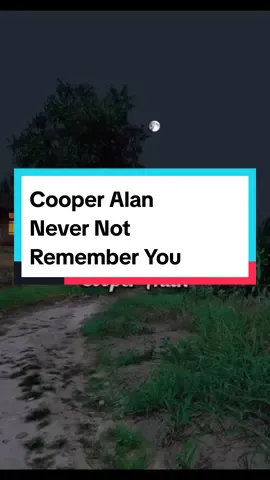 Cooper Alan - Never Not Remember You  #fyp #viral #trending #lyrics #music #nevernotrememberyou #listentothesewords #cooperalan #cooperalanmusic 