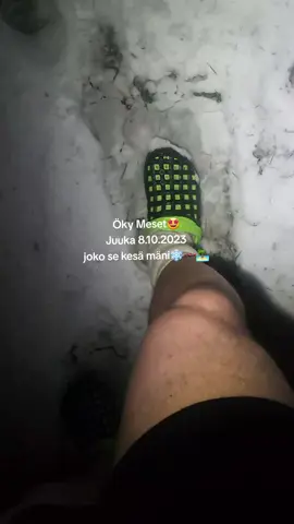 lupasin mersuvideoita😇😅🤩 #foryou #mese #mersu #kesäohi 