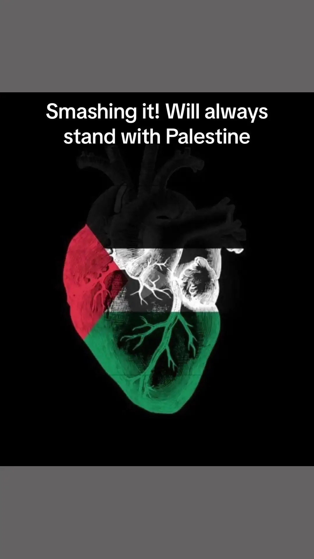 Dammi falastini…#freepalestine🇵🇸❤️ #freepalestine🇵🇸 
