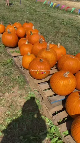 pumpkin patch date day was cute and fun 🥹🤎 #falldateideas #falltreats🍂 #fall #october #dateideas #couplegoals #fallaesthetic #cutecouples #Lifestyle #lifestylecreator #explorepage #viral #explore 