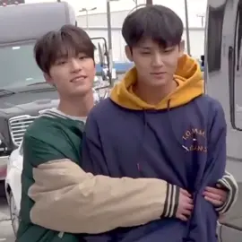 svt’s no.1 victims #gyuchan #svt #seventeen #dino #mingyu