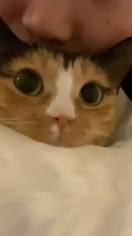 ☺️