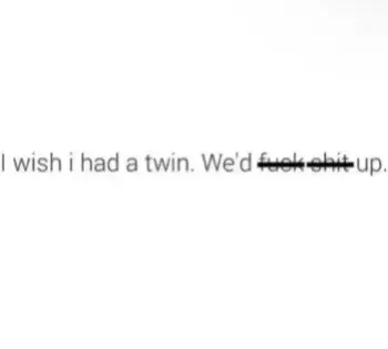 Oh wait… #fyp #bsf #blowitup #twin 