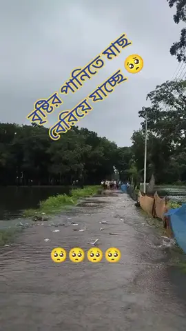 #foryou❤️❤️❤️ #foryoupage #frypage #tiktokbd #tiktokbdofficial🇧🇩 # কি সুন্দর প্রাকৃতিক দৃশ্য কি সুন্দর প্রাকৃতিক পরিবেশ আমার সোনার বাংলাদেশ 🇧🇩