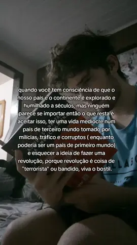 viva o bostil #historia #brasil #americalatina #politica 