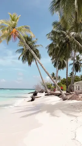 Ilahi mi bin 🏝️🤍