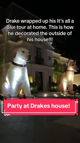 For all the dogs at The Embassy 🦉🐾💫 #drakeconcert #itsallablurtour #itsallablur #toronto #theembassy #bridlepath #torontoconcerts #drizzydrake 