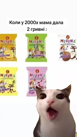 #приколзкотом #солодкамівіна #мівіна #діти2000х #дитинство #котики #котики🐈 