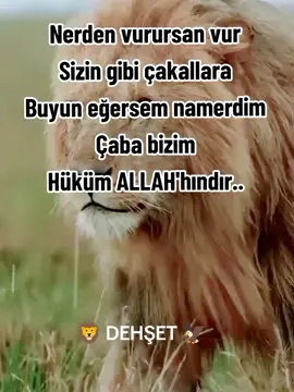 #🦁🦁🦅🦅🤞🤞🤞###keşfetbeniöneçıkar #keşfetbeniöneçıkar #