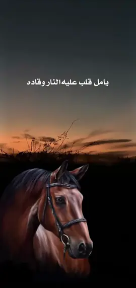 #شيلات #قصايد #هشتاق #هشتاقاتي_الترند_المشهور #fyp #fypシ #tiktok 