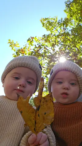 Trying to hold onto these precious moments 🥹  #moditwins #identicaltwins #3under3 #twintok #brothers #toddlertok #momtok #autumnleaves #fallingeorgia #thesearethedays 