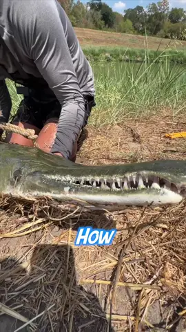 How To Catch BIG Fish EASILY❗️ #tipsandtricks #tips #fish #fishing #bassfishing #bigfish #baitfishing #howto #urban 