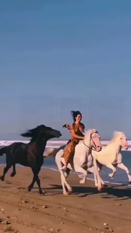 #caballosbailadores🍀🐴🍎 #deacaballo🐴👢 #caballosdelacosta🌴🔥 #horses #horsesoftiktok #horselover #horsetok #horses #foryou #frisianhorse #blackhorse #stallion #friesepercheron #drafthorses #horsesoftiktok #horsetok #horsepower #horse  #fyp 