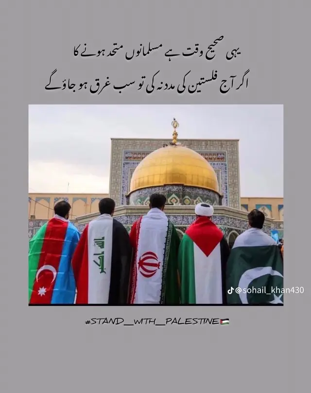 Palestin 🇵🇸🦁💪