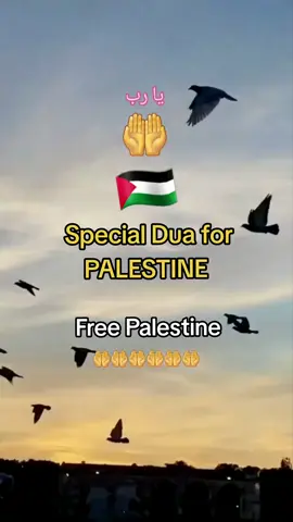 May Allah shower his mercy on our brothers and sisters in Palestine,  and give them victory 🤲🤲 #prayersforpalestine #islamic_video #palestine #foryou #foryoupage 