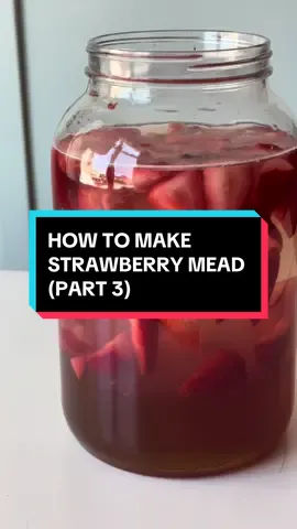 How to make strawberry mead #mead #meadtok #meadmaking #homebrewing #brew 