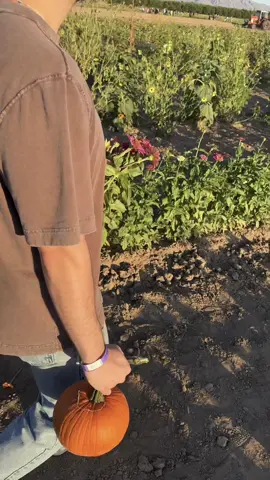 I love fall 💐🎃🤍🍂 