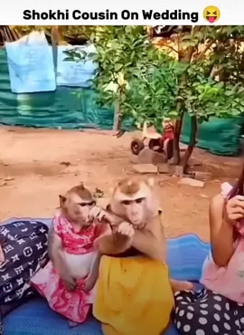 #viralvideos #musically #shokhi #cousin #on #weddingtiktok #🤪😜😝😛😅😂😆😄😃😁🥱🤭🤪😜😝😛 #funnyvideos #tiktokpakistan #feelings 
