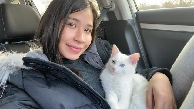 forever my snowball 🤍 #fyp #catsoftiktok #pet 
