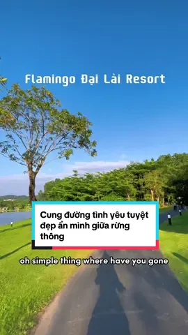 Trải nghiệm ngày nghỉ đầy thư giãn tại cung đường tình yêu tuyệt đẹp tại Flaminggo Đại Lải Resort🎄🎄🎄 #dulich #trave #flamingo #flamingodailai #flamingodailairesort #tinhyeu #Love #tiktokviral #tiktokviralvideo #tiktoknews #trending #dulichgiare #vinhphuc #vietnam #street #photography #hot #hotel #resortcollection #resorts 