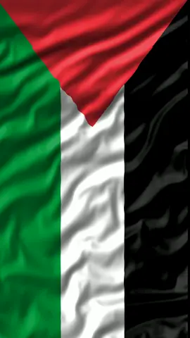 تصميمي للمصميمين ،علم فلسطين متحرك #فلسطين🇵🇸 #فلسطين 