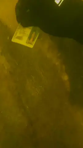 #underwater #treasure #treasurehunt #fyp