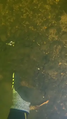 #underwater #treasure #treasurehunt #fyp