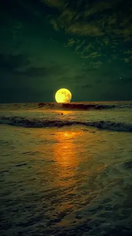 🌊#foryou #moon #night #sea #scenery 