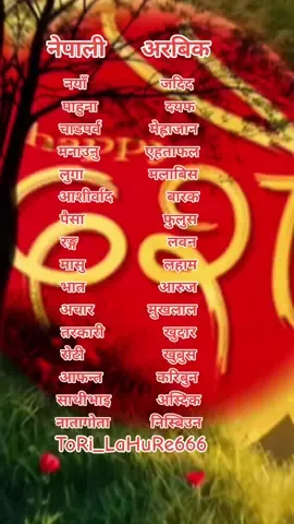 #tiktoknepal🇳🇵 #foryoupage❤️❤️ #goviralvideo💞 #dashainvibes😍😍 #arabicwordschallenge #CapCut 