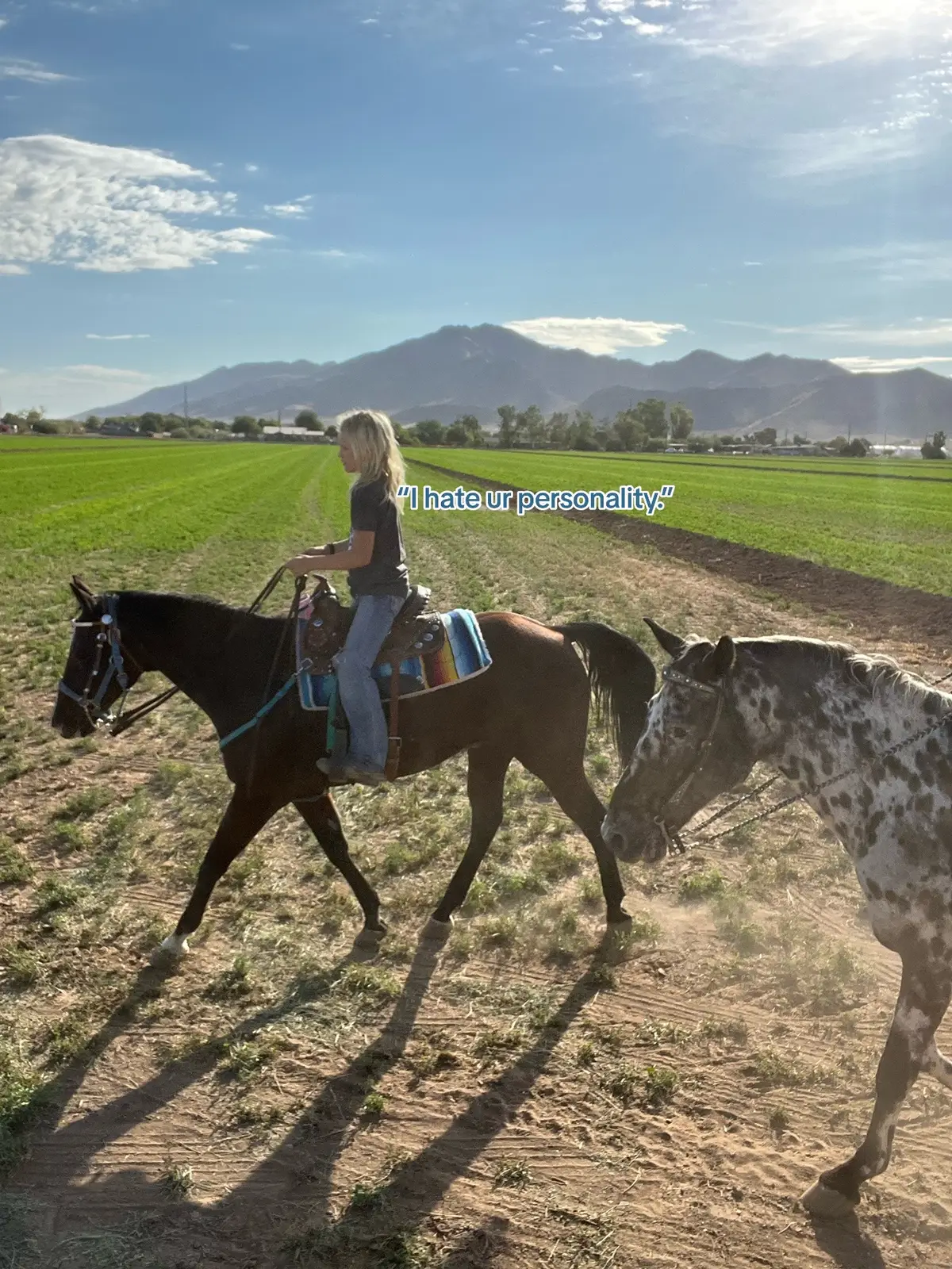 GIYS IMA BE TIDIJNG BARE BACK MY NEXT RIDE AHHHH#horsesoftiktoktok🐴 #rideforzara🐎👼🏻 #CapCut #equestrian #barrelhorse #barrelracing #Horselover 