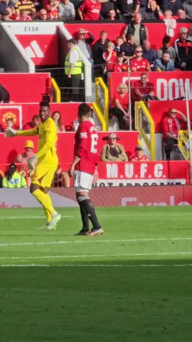 Here is the full video of Onana's reaction to Brentfords goal.  What do you think he is saying to Evans and Casemiro? #mufc #unitedontiktok #onana #casemiro #evans #manchesterunited #footballtiktok 