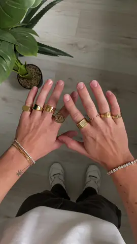 Essential rings for A/W 24 #ring #rings #goldrings #jewelry #fashion #waterproofjewelry #fashiontiktok 