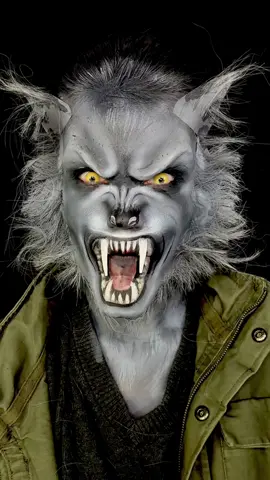 🐺 i cant change what i am #werewolf #werewolfmakeup #halloweencostume #twilight #cosplay #halloweenmakeup 