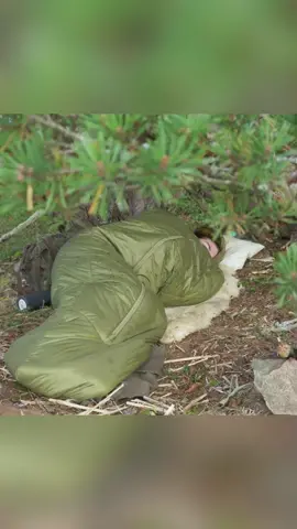 Building a Shelter Before a Rainy Night. P2 #bushcraft  #build  #camp  #camping  #survival  #shelter  #wildlife  #Outdoors  #outdoor  #viral  #fyp  #foryou