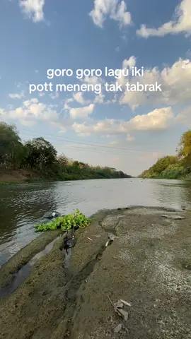 tangi tangi teko ngomah 🗿 #mancing #spotmancing #story 