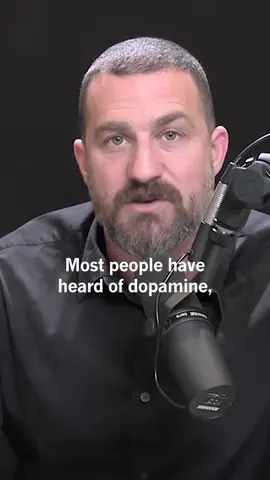 What Dopamine (Really) Does #hubermanlab #andrewhuberman #dopamine #science #neuroscience