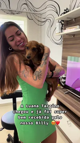 O billy ataca novamente 😍❤️ #daschund #luanatarginno 