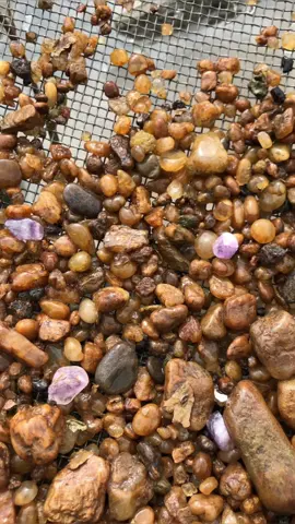 Ninho de Pedras Preciosas! 🥹💜 #pedraspreciosas #cascalho #pedrasvaliosas #ametista #natureza #perfeita #cristal 