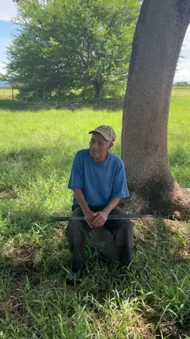 Mechito opina