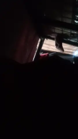 viral video