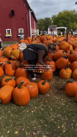 this is your sign to go on a cider mill date this fall 🥰✨🍎                                                                    #fall #cidermill #falldateideas #dateideas #fallaesthetic #fallvibes #thingstodoinfall #fallfashion #cozyvibes #donuts #Lifestyle #outfitinspo #fyp #foryou #foryoupage #autumn #autumnfashion #autumnaesthetic #uggs #ugg #styleinspo #fashioninspo #f#pumpkinseason #pumpkinpatch #pumpkin #applecider 