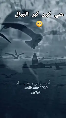 #وائل_كفوري🎤🎧🎼🎸 #اليمن_صنعاء_تعز_اب_ذمار_عدن_وطن_واحد #الخليج_العربي_اردن_عمان_مصر_تونس_المغرب #الشعب_الصيني_ماله_حل😂😂 #اكسبلور #