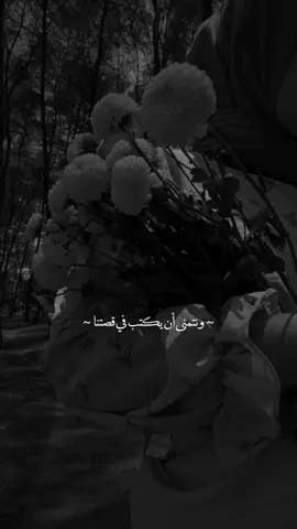 #ستوريات_دينيۿ 🤍.  . 