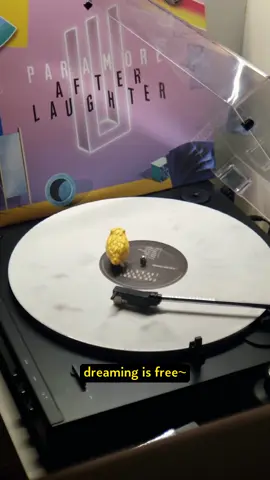 Paramore-26 #paramore #piringanhitam #piringanhitamindonesia #paramoretiktok #vinylrecords #vinylcollection #vinyltok #vinylcheck 