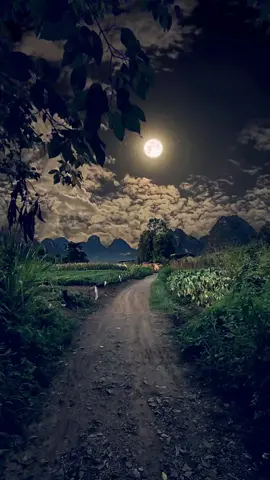 #scenery #beautiful #nature #relax #night #village   I like the night in the countryside, the moon in the sky is high, the frogs on the ground are singing, one static and one dynamic, blooming with the fragrance of the night.